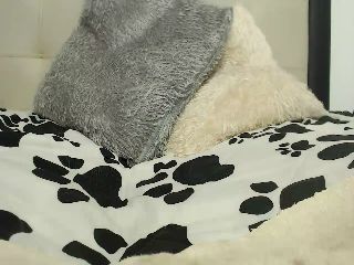 Live sex webcam photo for Pilarstar_ #251765986