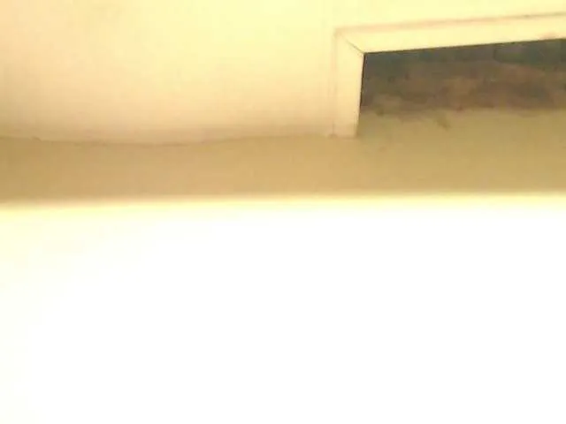 Live sex webcam photo for MilkySlender #243185212