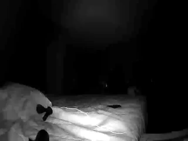 Live sex webcam photo for Oricle #252512449