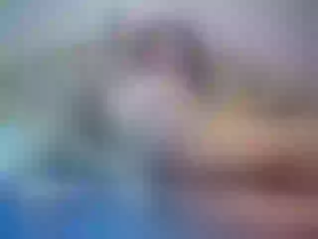 Live sex webcam photo for cheaptipmenu #240979119