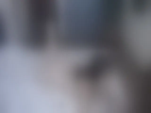 Live sex webcam photo for IsabellaRox #255136336