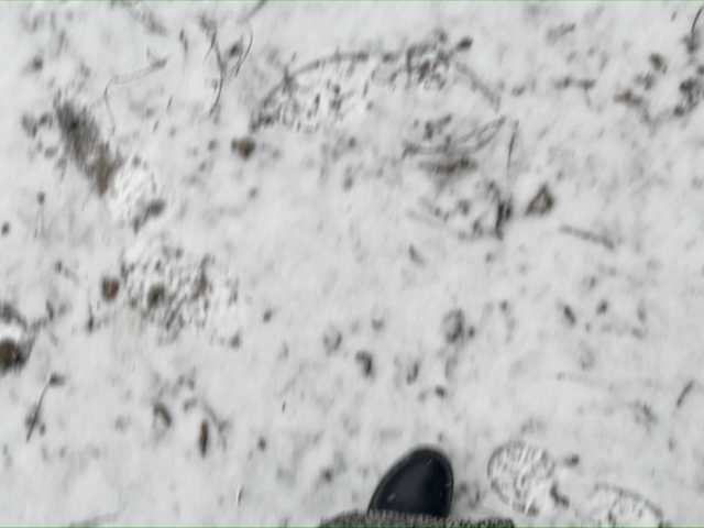 Live sex webcam photo for Lusi19 #241074383