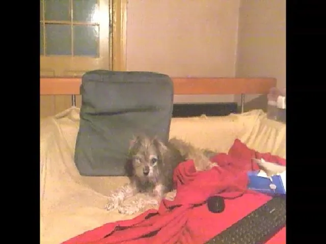 Live sex webcam photo for Lili_Mari69 #262014339