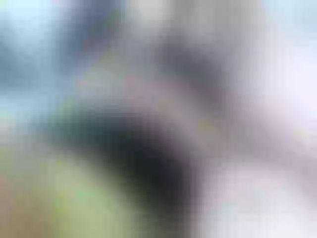 Live sex webcam photo for Diva_Roselena #262344051