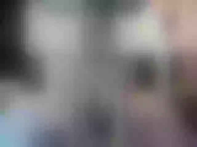 Live sex webcam photo for AylisaX #258771253