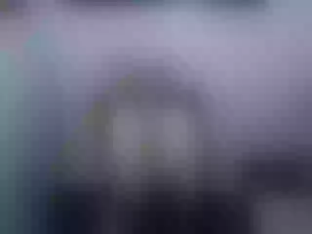 Live sex webcam photo for Silera #241371771