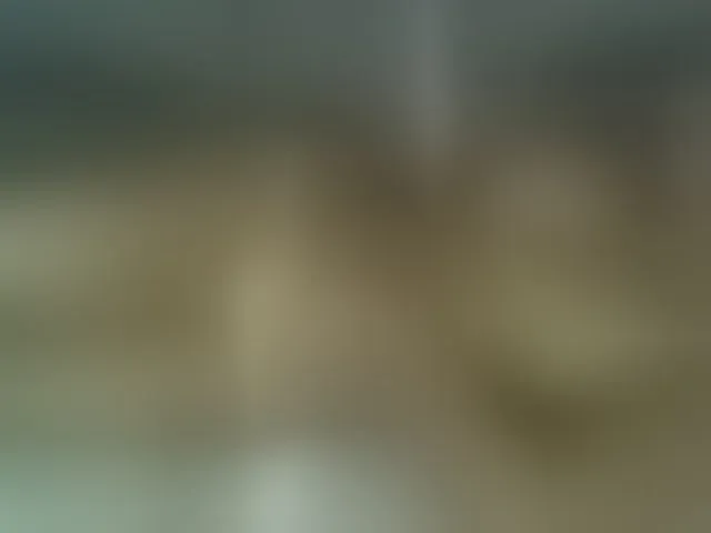 Live sex webcam photo for Into_Mary #252788328