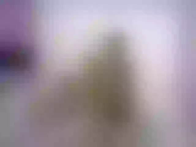 Live sex webcam photo for NoemiDavis #259310331