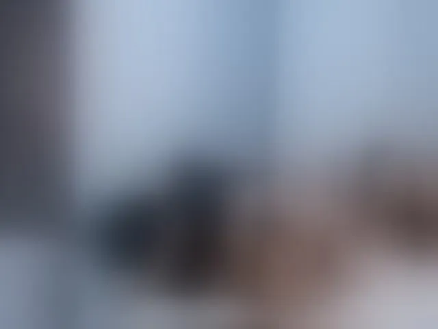 Live sex webcam photo for Helenetrix #259056230