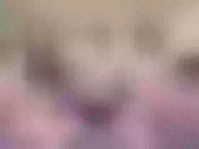 Live sex webcam photo for sex-partys #252136577
