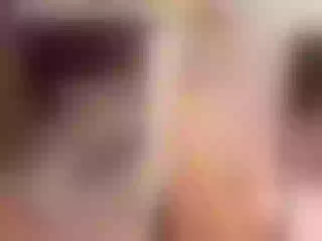 Live sex webcam photo for Karol_Page #256215607