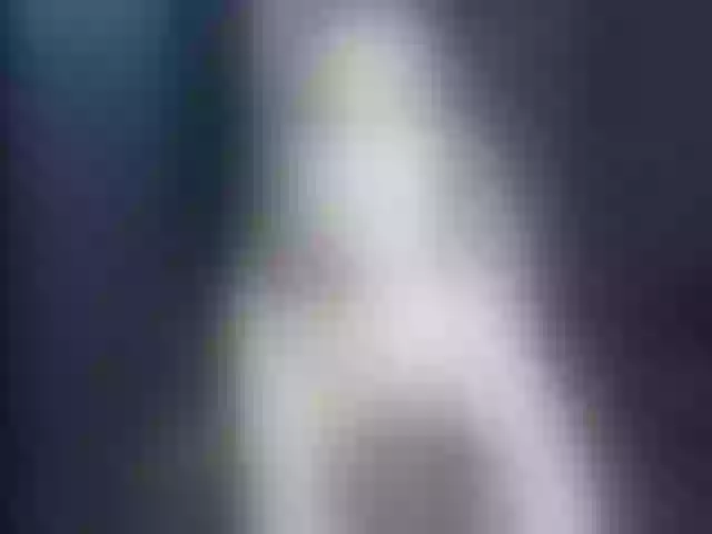 Live sex webcam photo for Ellaquality #255037516