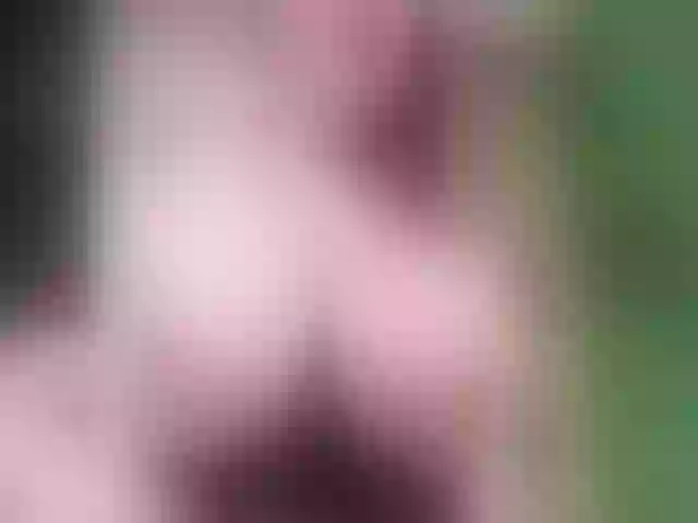 Live sex webcam photo for Bigboobiesx #263291571