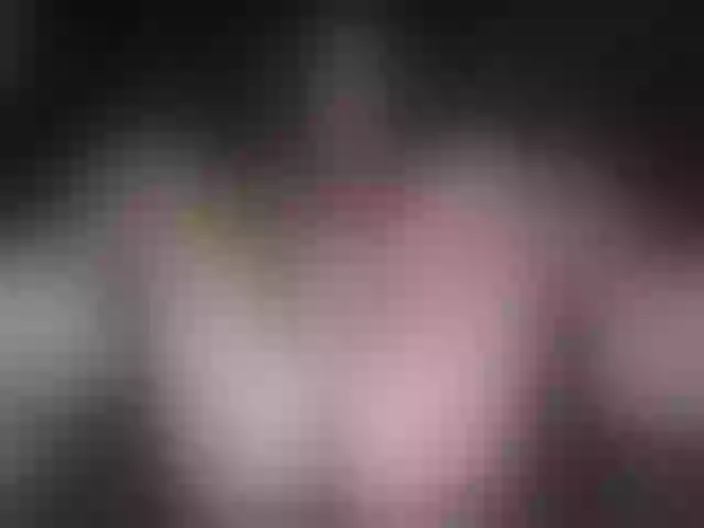 Live sex webcam photo for Alexajoyy #261601476