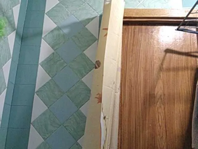 Live sex webcam photo for Zarevna #240981672