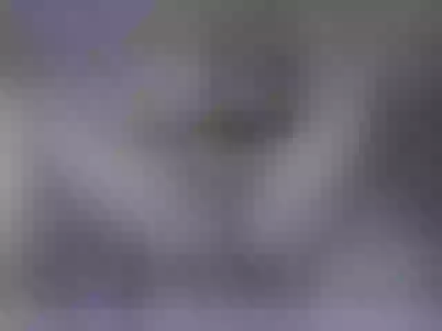 Live sex webcam photo for pussyboom11 #248141774