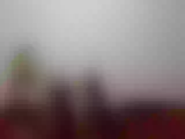 Live sex webcam photo for WildLadyHawke #262560208