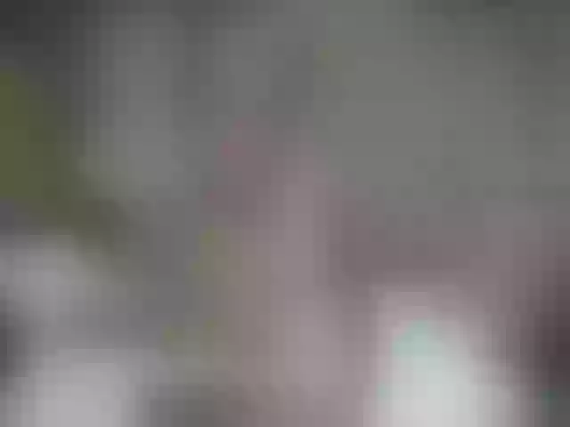 Live sex webcam photo for QuinnGray #252390624