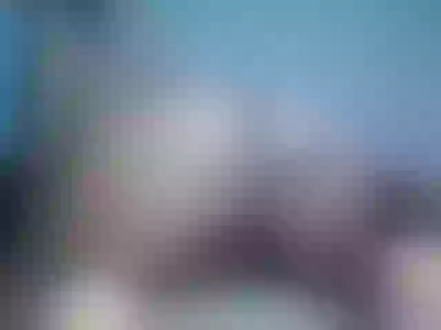 Live sex webcam photo for Paulett #241388880