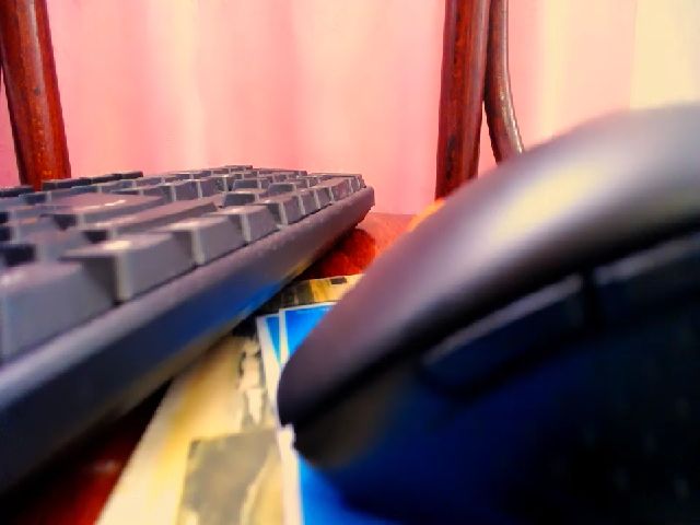 Live sex webcam photo for Lady_Betsy #255299134