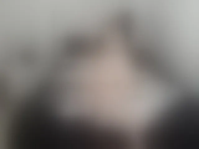 Live sex webcam photo for GwenBurkey #262157385