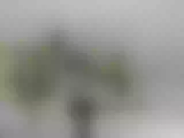 Live sex webcam photo for girlboom20 #242774366