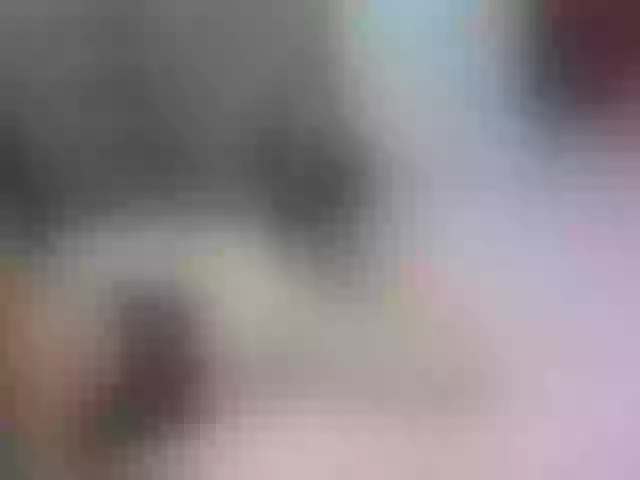 Live sex webcam photo for KammyJoe #255484272