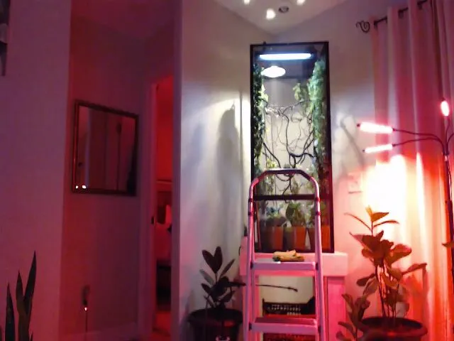 Live sex webcam photo for Ca_ndi #255061531