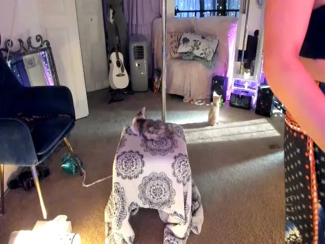 Live sex webcam photo for PetiteJewel #252518882