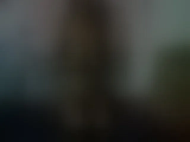 Live sex webcam photo for EleianaRose #262382135