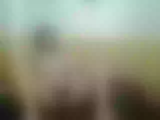 Live sex webcam photo for Elie-teyler #241836672