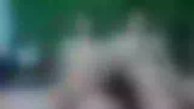 Live sex webcam photo for weed_boys3 #245049679