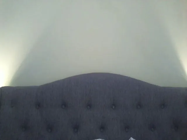 Live sex webcam photo for Renee_W #254608974