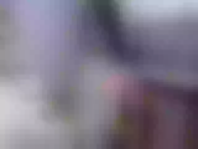 Live sex webcam photo for SeySo #260426547