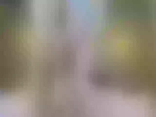 Live sex webcam photo for Miia_cox #264257413