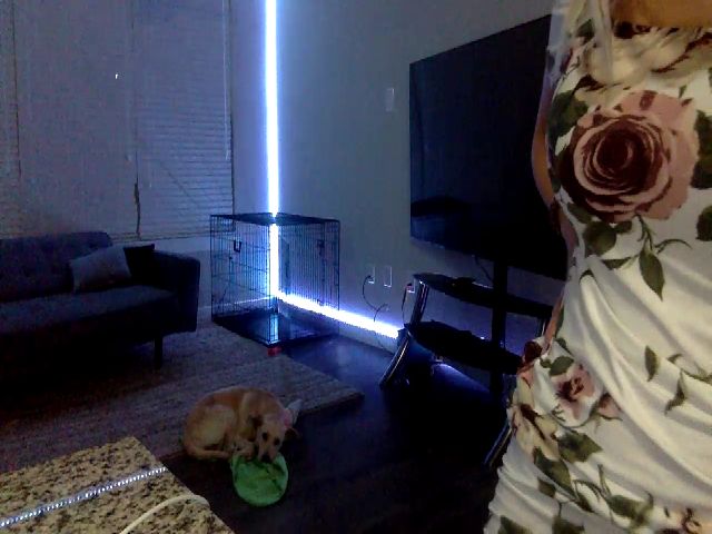 Live sex webcam photo for Sammy_gray #254357185