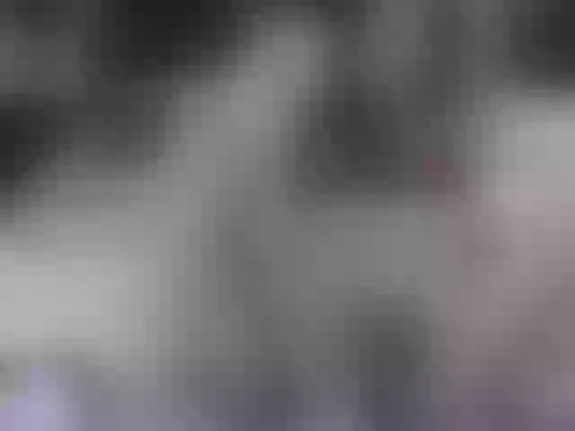 Live sex webcam photo for Titawish #241283717