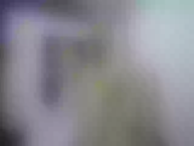 Live sex webcam photo for Anttonella_2 #256794284