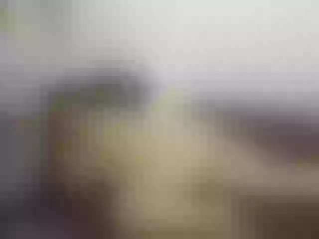 Live sex webcam photo for Merida_blue #254457066