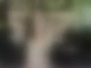 Live sex webcam photo for AliciaKennet #240701632