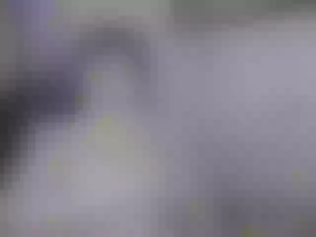 Live sex webcam photo for Millsieleonn #241391374