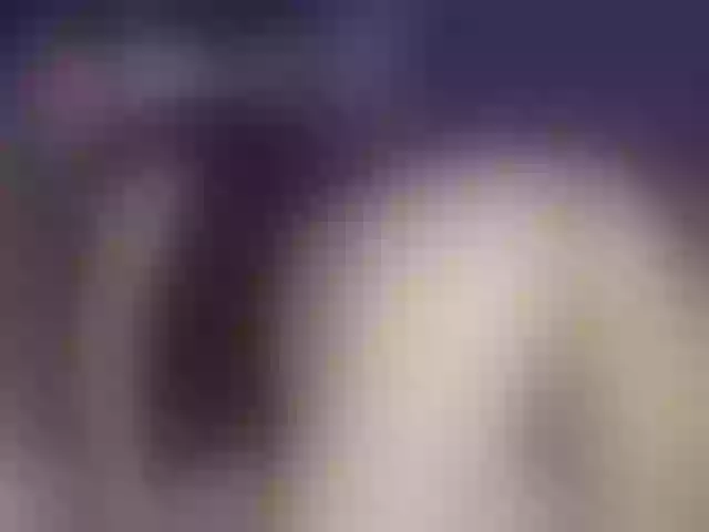 Live sex webcam photo for Alexajoyy #252600826