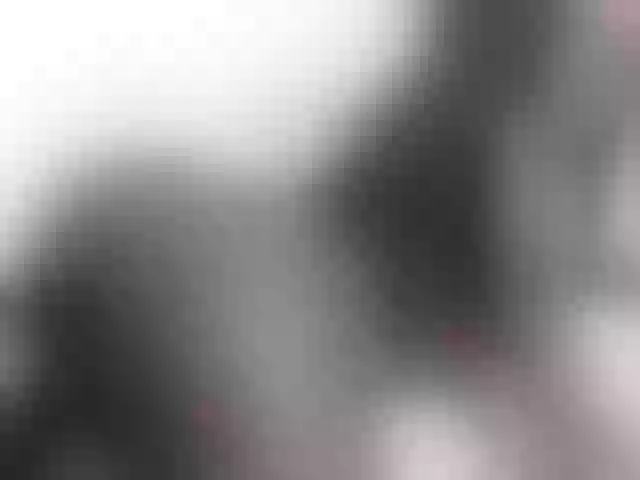 Live sex webcam photo for Leidysautss #260346610