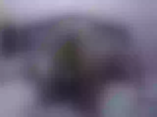Live sex webcam photo for Relaxinka777 #254622617
