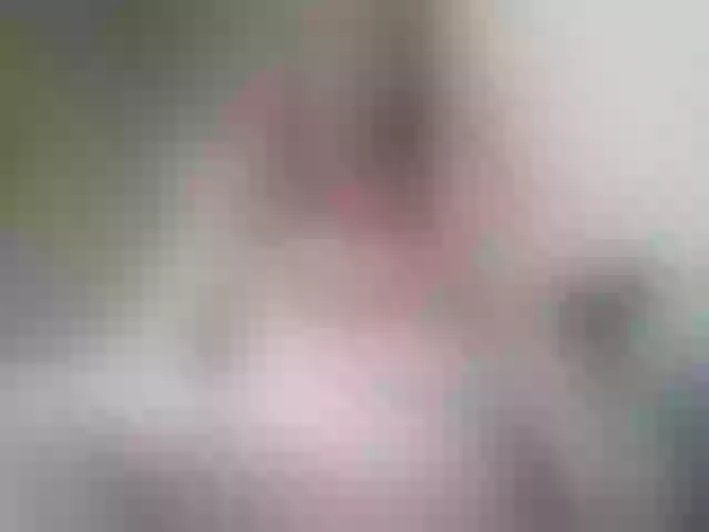 Live sex webcam photo for RachelORose #240948484