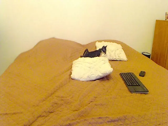 Live sex webcam photo for AliceBiggAss #264294866