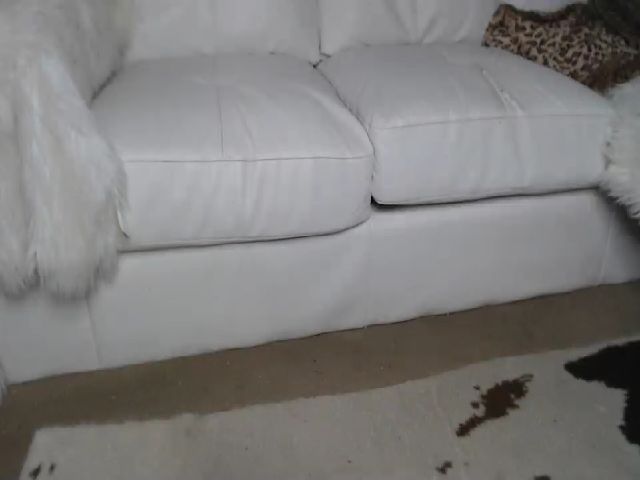 Live sex webcam photo for MariahKay #261535847