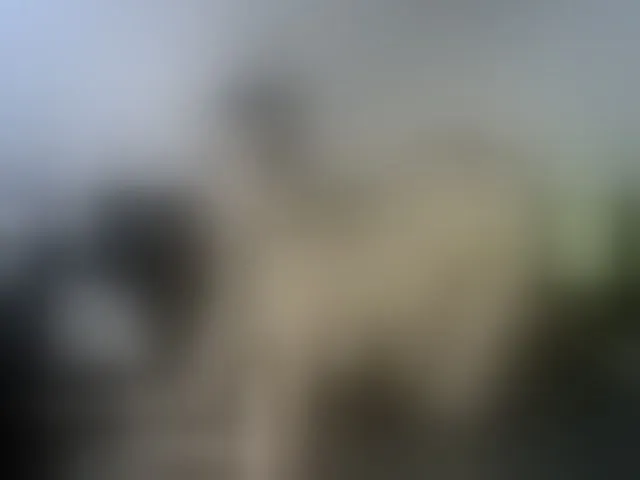 Live sex webcam photo for MyyDream #255159599