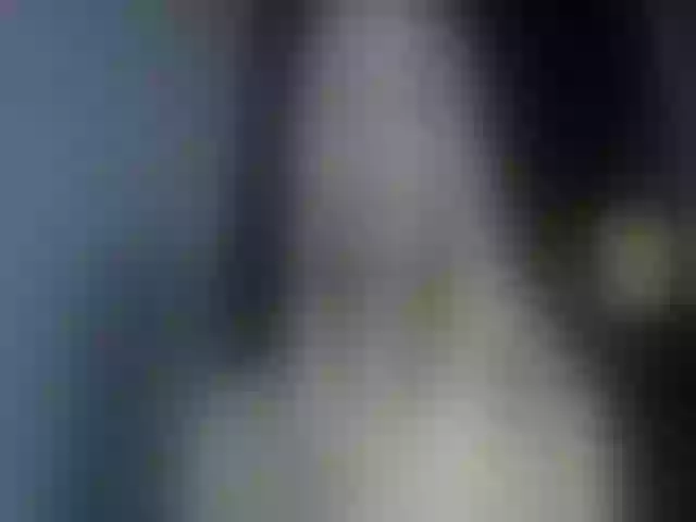 Live sex webcam photo for MyyDream #259551641