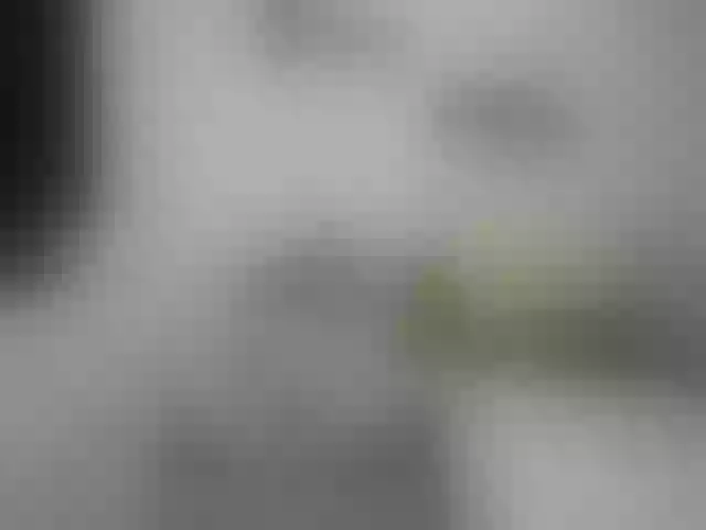 Live sex webcam photo for jennifer1177 #262803063